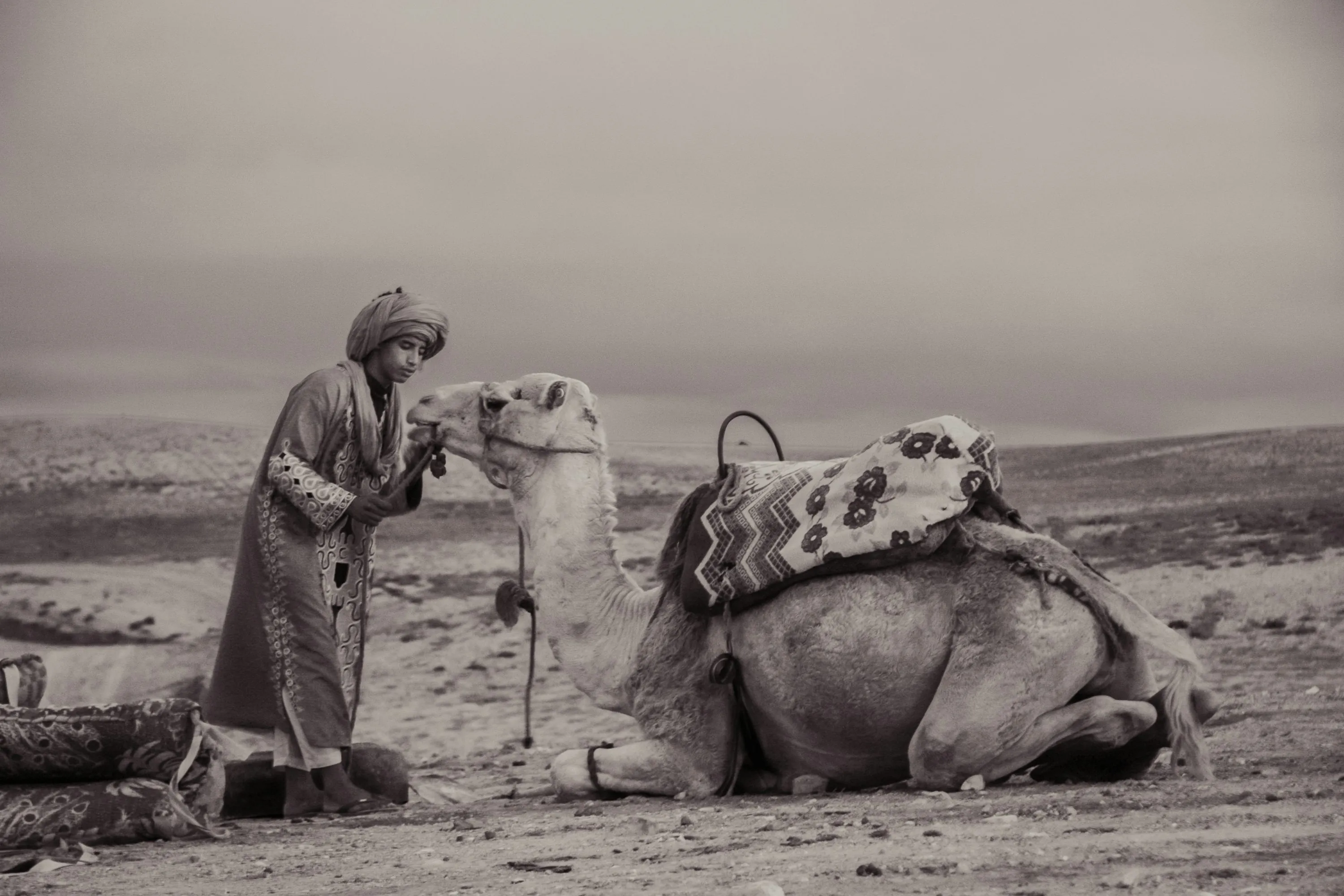 Camel trekking at sunset