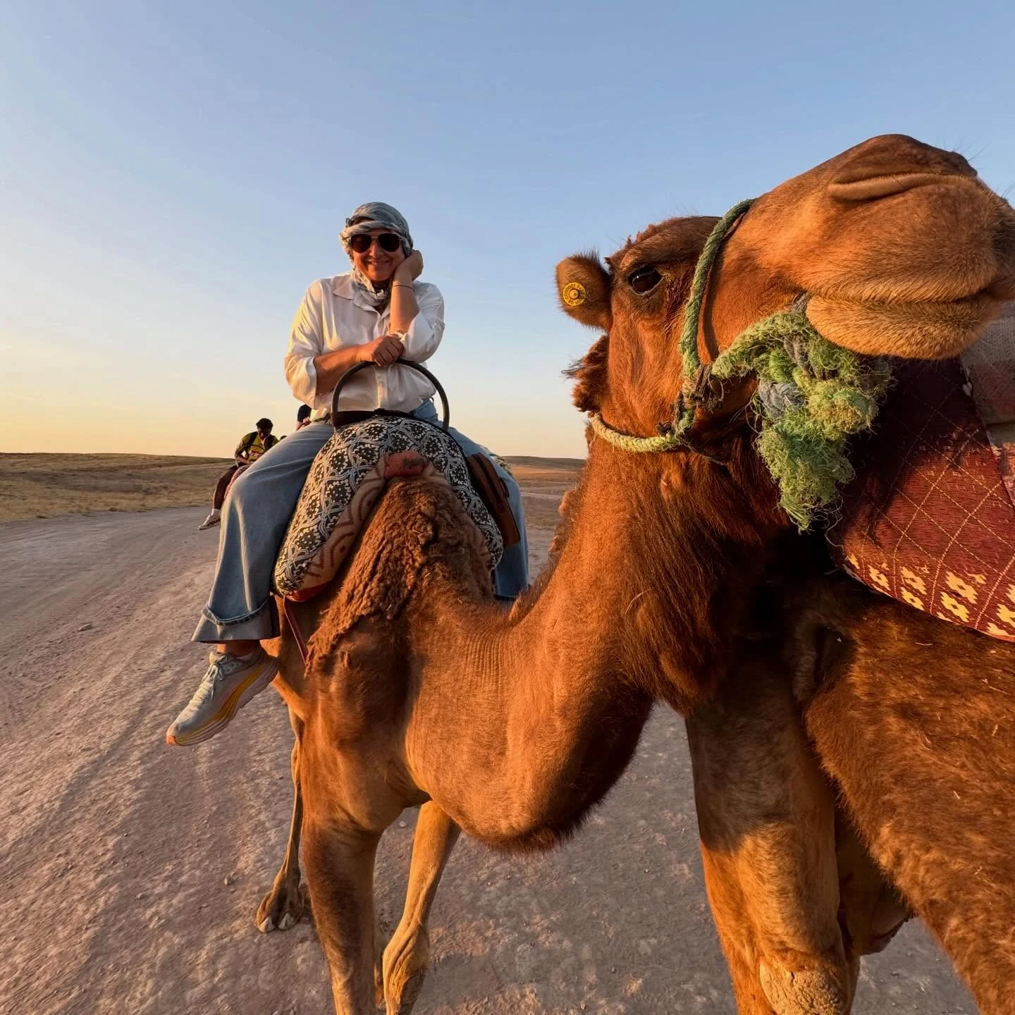 Camel Trek Agafay