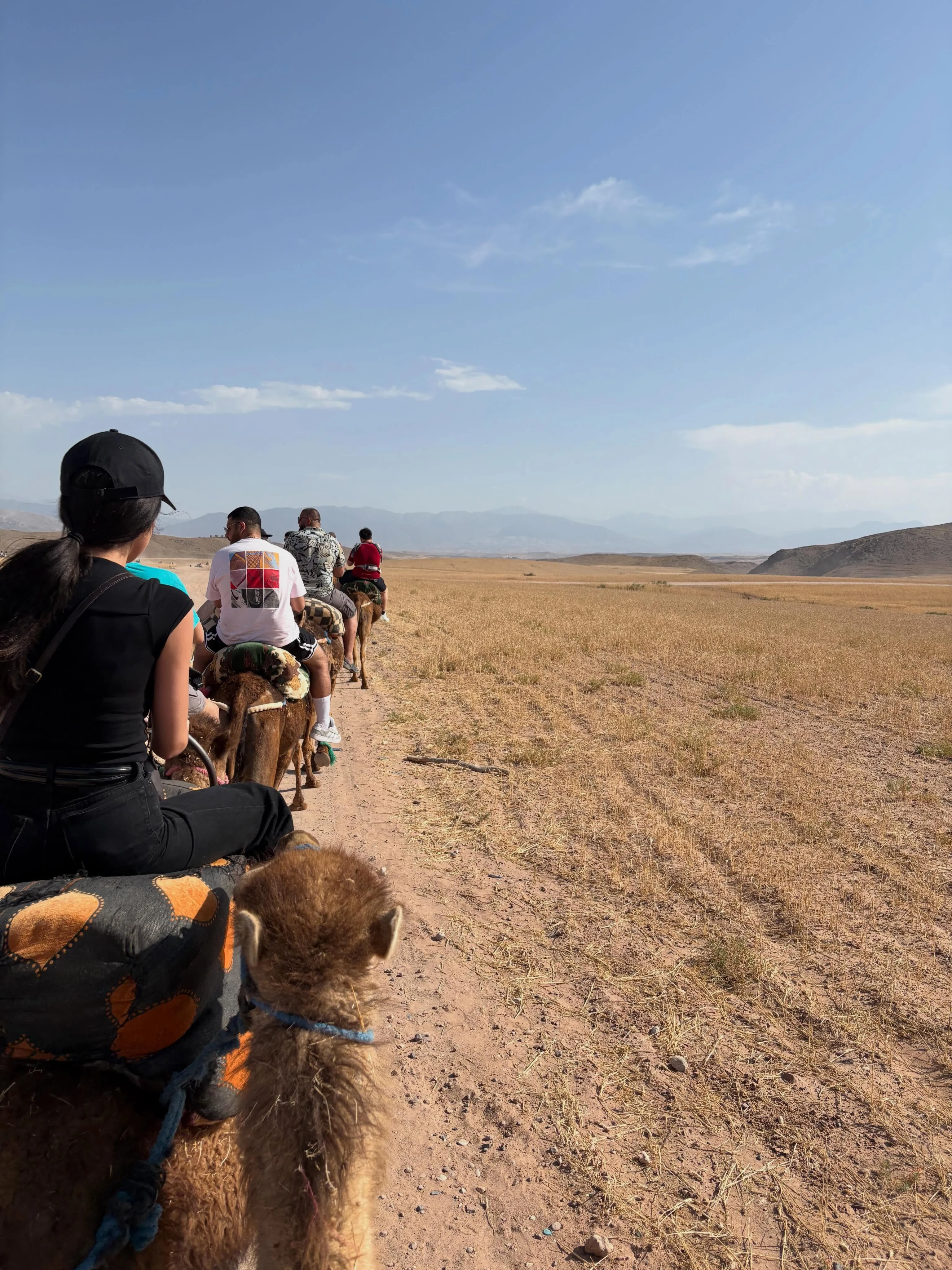 Camel journey across the desert