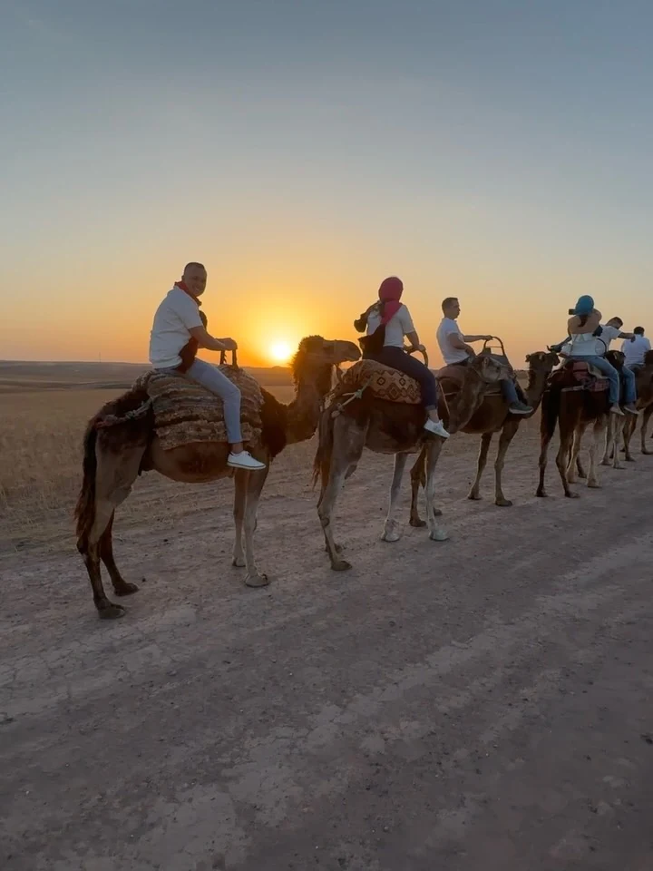 Desert Camel Ride