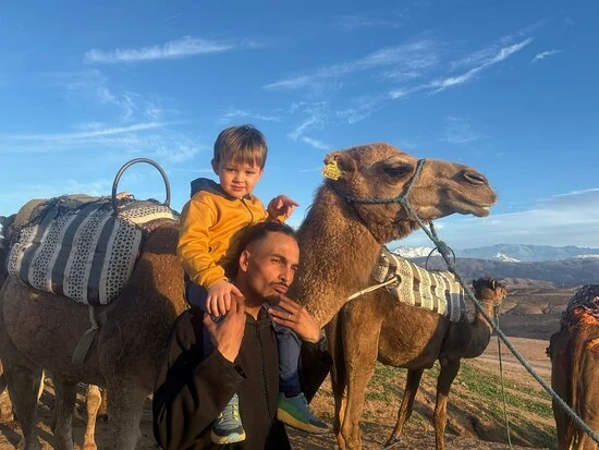 Family Camel Experience