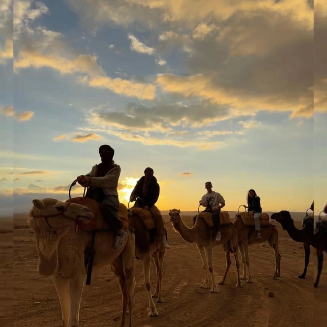 Camel ride at sunset